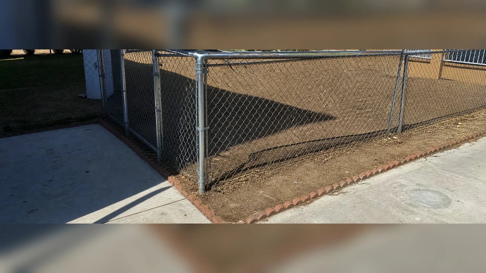 Palmdale fenced yard after cleanup with the chain-link fence and brick border left in place.