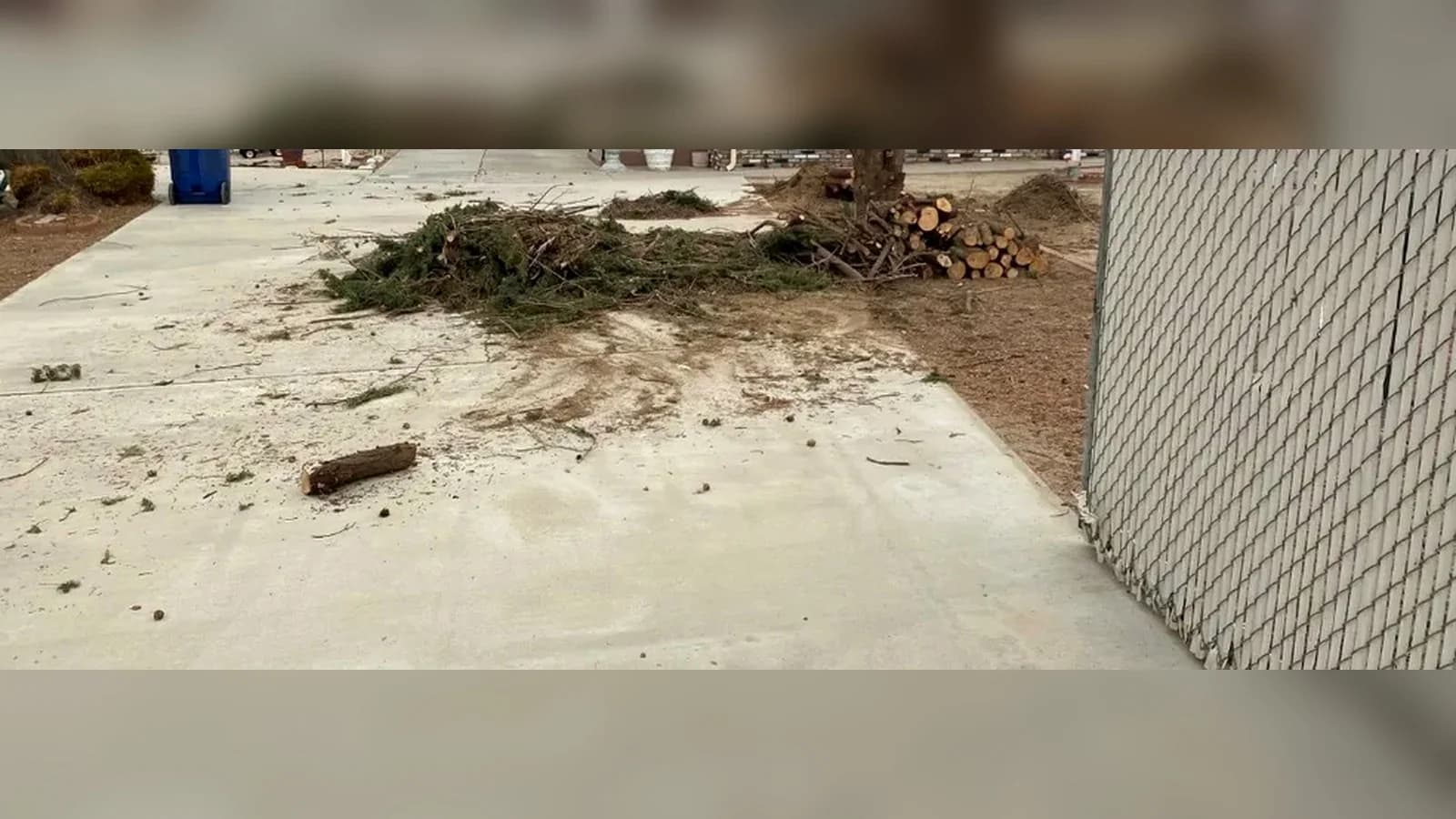Lancaster driveway before cleanup with branches, loose logs, leaves, dirt, and yard waste on the concrete.