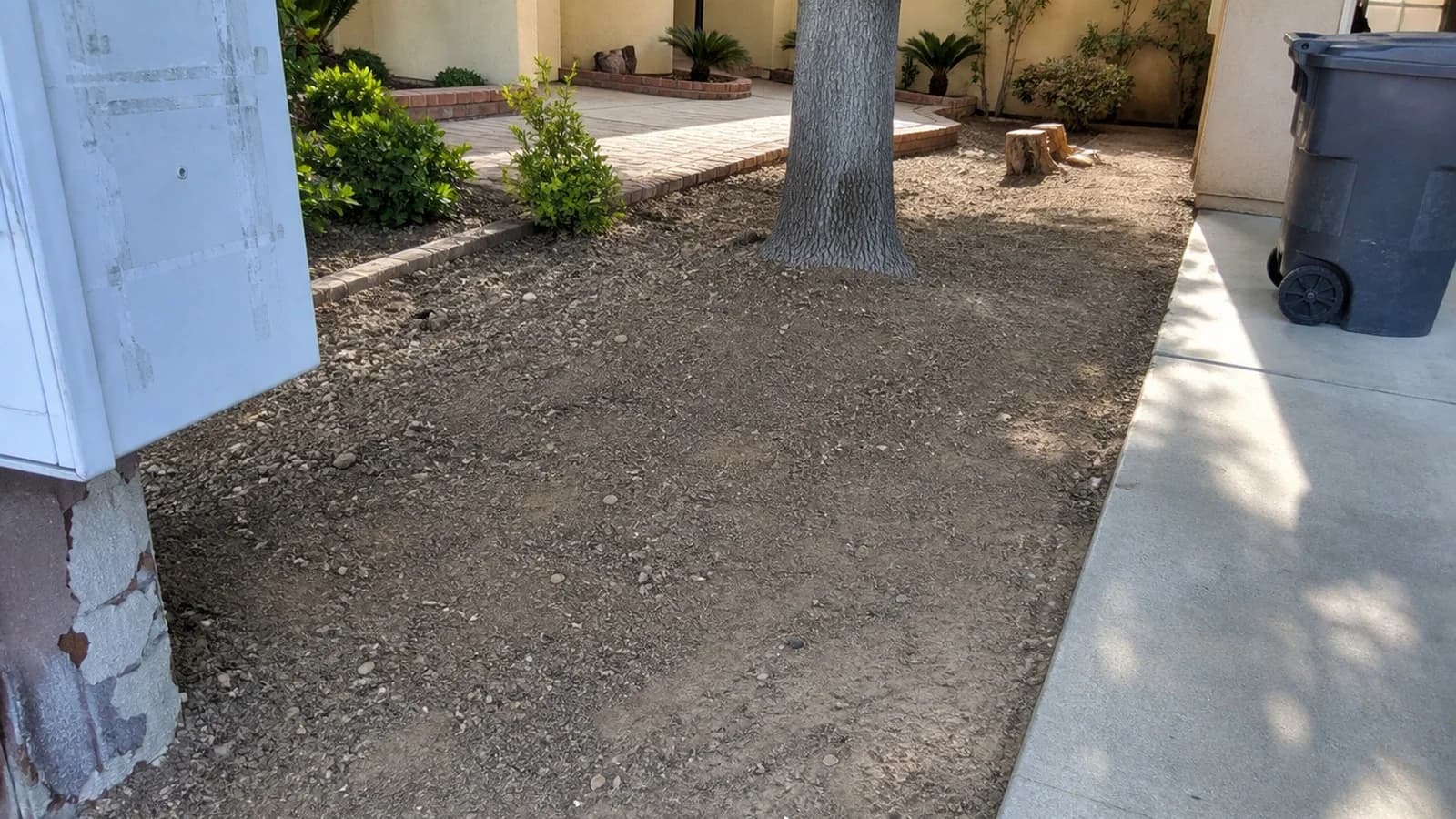 Quartz Hill planter bed after cleanup with the tree and shrubs left intact and the walkway swept.