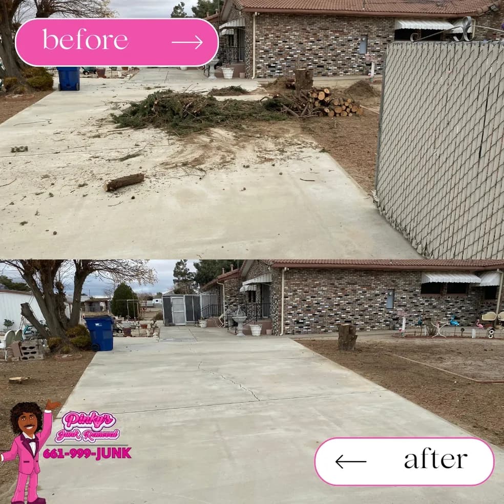 Lancaster backyard shed before demolition and after haul, showing bare dirt pad.